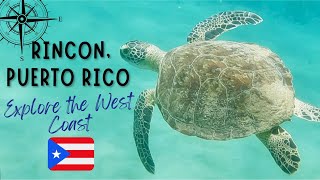 RINCON PUERTO RICO SURF SNORKEL RELAX REPEAT THE WEST IS THE BEST Plus AGUADILLA AND ISABELA [upl. by Nnaillek939]