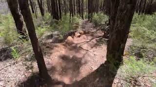 241027 MTB Jarrahdale Fox [upl. by Amias]