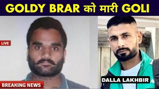 Goldy Brar shot dead in America Dalla lakhbir take responsibility goldy brar news America Canada [upl. by Aratihc787]