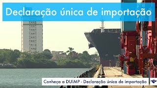 DUIMP Declaração Única de Importação [upl. by Asilenna344]