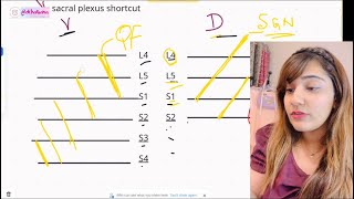 Sacral Plexus SHORTCUT  Learning made fun with Dr Hasna [upl. by Etti]