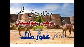 Rohi Documentry  Saraiki Culture  Saraiki Rung  Saraiki History [upl. by Elvia90]