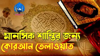 কোরআন তেলাওয়াত মধুর কন্ঠে মানসিক শান্তির জন্য কোরআন তেলাওয়াত  shiyam media 100 [upl. by Nauqes]