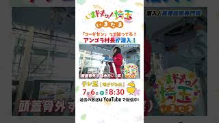 【ショートver】アンゴラ村長 にゃんこスター 松井咲子 小堺翔太 岡本寛志 高等技術専門校 いまたま 埼玉県 埼玉 shorts [upl. by Larkin]