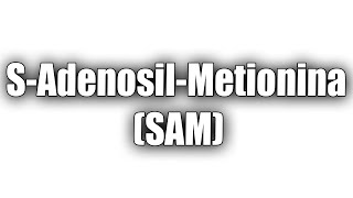 Sadenosilmetionina SAM ¿Qué es ¿Para sirve TODO LO QUE NECESITAS SABER🥶EN ESPAÑOL [upl. by Ihab]