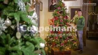 Coppelmans kerstboom decoreren [upl. by Eiramadnil]