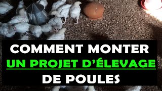 COMMENT MONTER UN PROJET DÉLEVAGE DES POULES [upl. by Jeraldine]