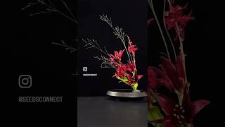 art flowers florist seedsconnect amor acommeamor autumnlafite garden indonesia [upl. by Tilda]