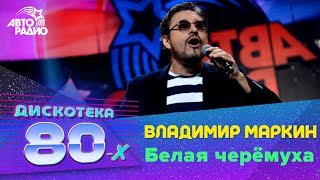 Владимир Маркин  Белая Черёмуха Дискотека 80х 2015 Авторадио [upl. by Dal]