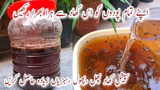 How to Make Organic Fertilizer for All Plants Special Cheap Fertilizer for Healthy Flowers amp Fruits [upl. by Mackey]