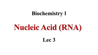 RNA Lec3 Biochemistry I [upl. by Novla]