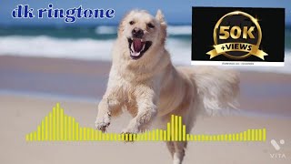 🐶Dog ringtone video ringtone🎵🎵dkringtone1m dog short [upl. by Anilesor]