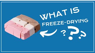 How Does Freeze Drying Work [upl. by Sawyere]