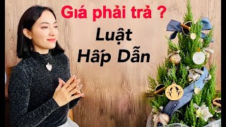 Luật Hấp Dẫn GIÁ PHẢI TRẢ LÀ GÌ [upl. by Ashok]