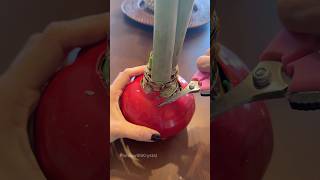 Removing wax from an amaryllis bulb amaryllis bulbs plantgrowth [upl. by Acinnej]