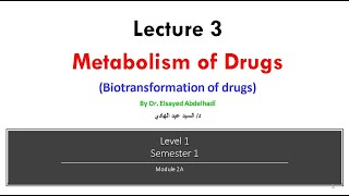 Lecture 3  Metabolism of Drugs Dr Elsayed Abdelhadi 2023  2024 [upl. by Caye]