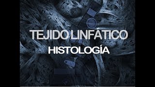 Tejido linfático  Histología [upl. by Procter]