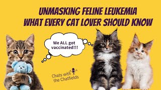 Unmasking Feline Leukemia  What Every Cat Lover Should Know [upl. by Neirual870]