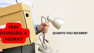 Como calcular rescisão no pedido de demissão [upl. by Gavrah411]