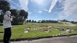 MASSIVE MATING IGUANAS MAKE CEMETERY BREEDING GROUND IGUANA MATING SEASON 2023 [upl. by Fidelia]