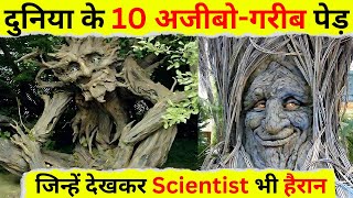 ऐसे अजीबोगरीब पेड़ जिन्हें देखकर Scientist भी हैरान है  10 Strangest amp Weird Trees on Earth [upl. by Aeirdna763]