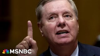 Sen Graham threw Trump under the bus in special grand jury testimony book says [upl. by Luht]