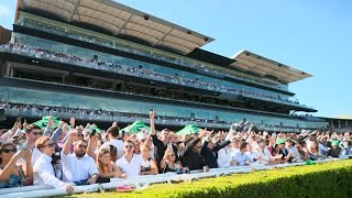 Sweet Caroline Moment on 2023 TAB Everest Day [upl. by Oringas]