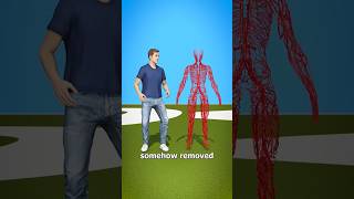 How Long Are Your Blood Vessels  facts factshorts youtubeshorts shorts health factszackdfilms [upl. by Birmingham]