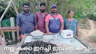 ജീവനുള്ള കക്ക  kakka irachi  shell recipe  shell curry  shell fry  shell  shell pasta recipe [upl. by Vtehsta]