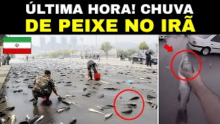 Urgente ASSISTA O IRÃ Recebe um SINAL de DEUS  Chuva de Peixes [upl. by Siusan]