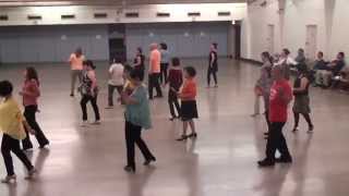 Line Dance BAILANDO [upl. by Halverson]