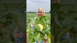 Cauliflower pakora shorts cooking recipe ❤️❤️❤️🥦🥦🥬🥬 [upl. by Ahsiret384]