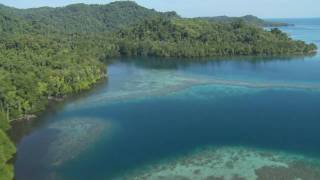 Wild New Britain Papua New Guinea [upl. by Pump]