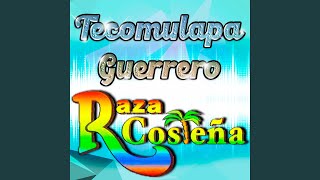 Popurri Sones de Guerrero Flor de piña  Verdad de Dios  El toro meco  La iguana [upl. by Llerret]