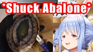 Pekora Shucking Abalone Is Too Dangerous In Many Ways【HololiveUsada Pekora】 [upl. by Petulia]