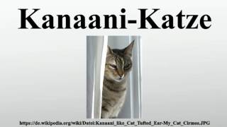 KanaaniKatze [upl. by Mehalek]