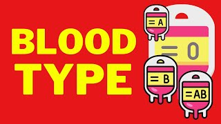 Blood Types Physiology ABO and Rh Blood Groups [upl. by Oyr]