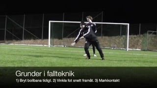 Målvaktsträning 1  Fallteknik [upl. by Aissirac]