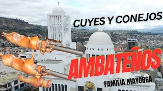 Cuyes y Conejos ASADOS  Ambateños Son los mejores del País [upl. by Lilllie]