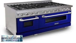 Professional Dual Fuel Range in Snow Stainless with Blue Gloss Door RASBG48 Review [upl. by Trudnak]