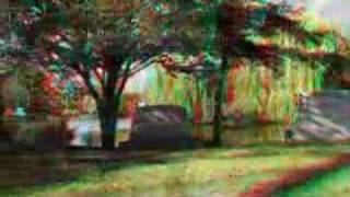 3D Anaglyph Movie  Graceland Graveyard Chicago [upl. by Celia]