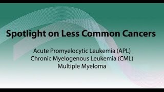 Spotlight on APL CML and multiple myeloma [upl. by Ahsilrac639]