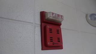 Simplex 29019838 Fire Alarm [upl. by Alenas571]