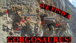 FINDING MY FIRST TYRANNOSAUR Day two in southern Alberta Part 1 [upl. by Egan]