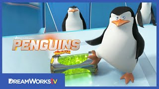 quotNorth Wind Headquartersquot Clip  PENGUINS OF MADAGASCAR [upl. by Akimot347]