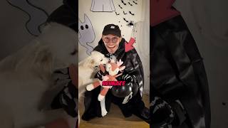 Ich habe das LIEBLINGSSPIELZEUG von meinem Hund entführt👻🙀 vlog hund halloween2024 [upl. by Quar769]