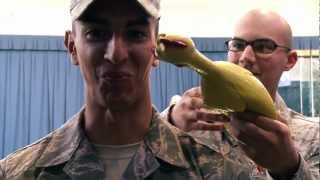 USAF Honor Guard  Rubber Chicken Bearing Test [upl. by Gal395]