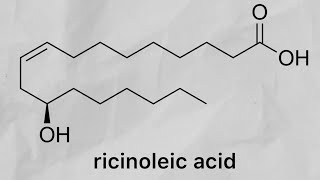 Ricinoleic acid from castor oil phenylacetylrinvanil part 2 [upl. by Aidnac]