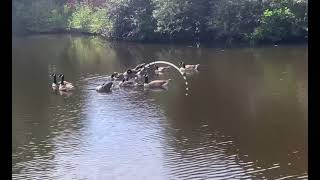 Sheffield Meadowhall canal [upl. by Nekial]