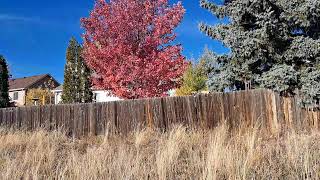 Fall Weather Colorado Springs Colorado [upl. by Odo]